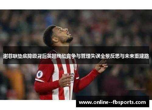 谢菲联垫底降级背后英超残酷竞争与管理失误全景反思与未来重建路